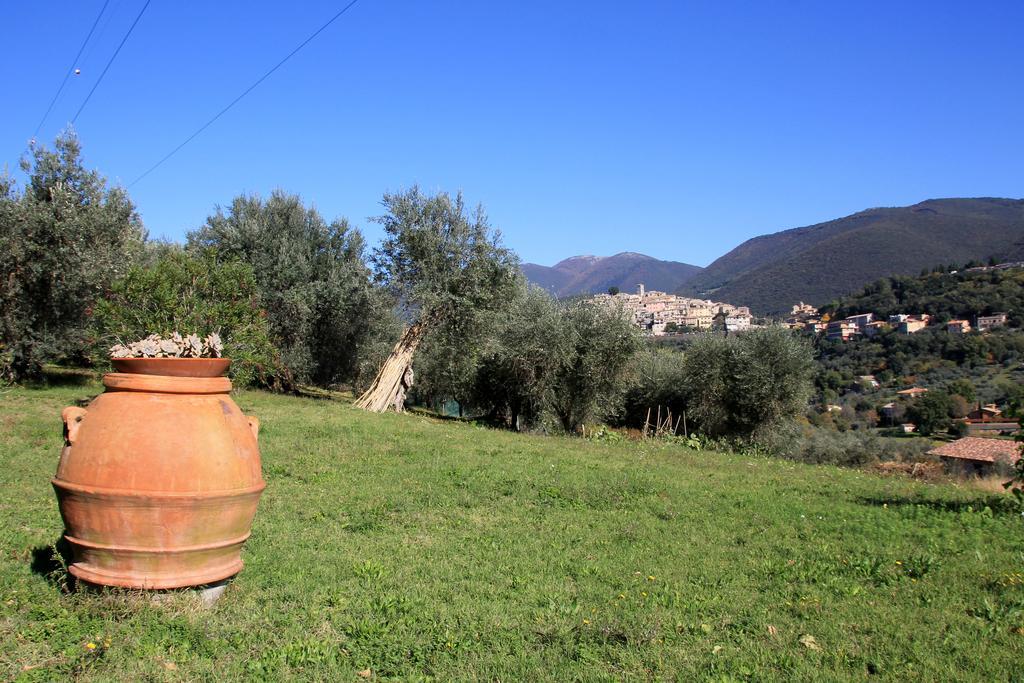 B&B Colle Perrini Country House Casperia Extérieur photo
